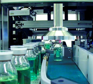 Pharmaceutical Process