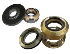 Seals for Flygt Pump